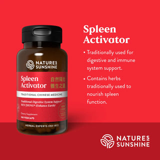 Spleen Activator<br> Promoting digestion, gut health and feeling good.