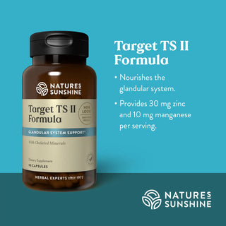 Target TS II<!target!><br>Pituitary, thyroid & hypothalamus glands