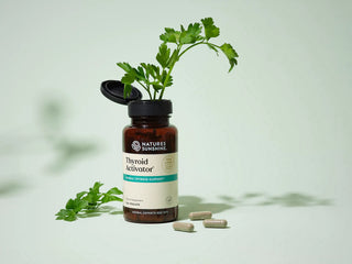 Thyroid Activator<br> Source of herbs used to support the thyroid gland