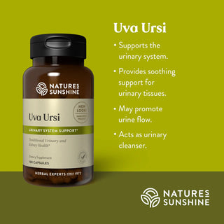 Uva Ursi<br>Soothes & supports the urinary system, promotes urine flow