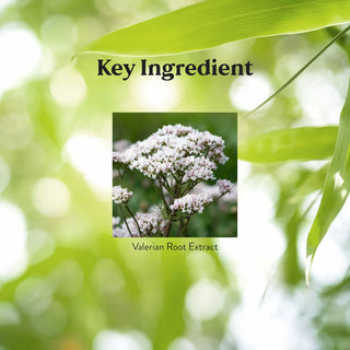 Valerian Root<br>It relaxes, calms, de-stresses and enhances sleep