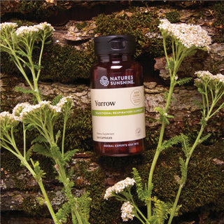 Yarrow (100 caps) <br> Helpful for firming and tightening tissues