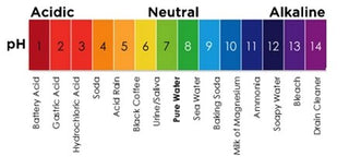 pH Test Strips from NSP  - Test your Saliva pH