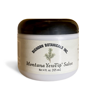 Montana YewTip Salve- 4 ounce
